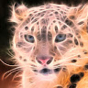 Meet your Posher, Tommy